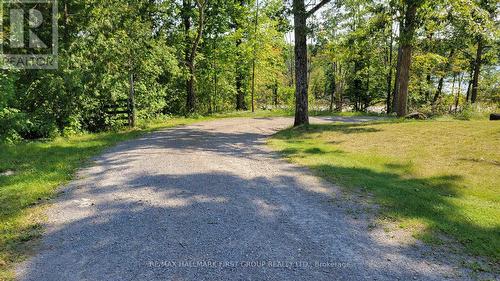 110227 Highway 7, Tweed, ON - Outdoor With View