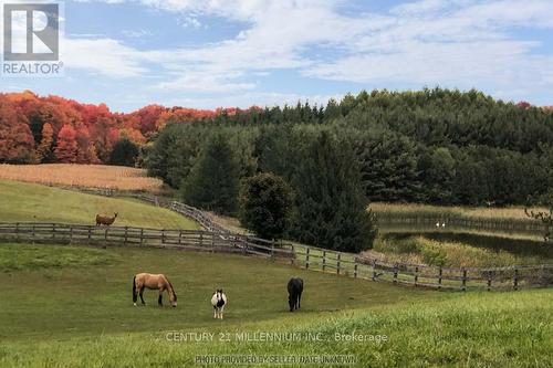 18101 Shaws Creek Road, Caledon, ON - Outdoor With View