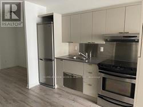 752 - 111 Elizabeth Street, Toronto (Bay Street Corridor), ON - Indoor Photo Showing Kitchen With Double Sink