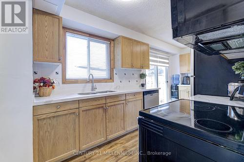 10 - 235 Bronte Street S, Milton (Bronte Meadows), ON - Indoor Photo Showing Kitchen With Double Sink