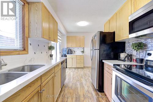 10 - 235 Bronte Street S, Milton (Bronte Meadows), ON - Indoor Photo Showing Kitchen With Double Sink