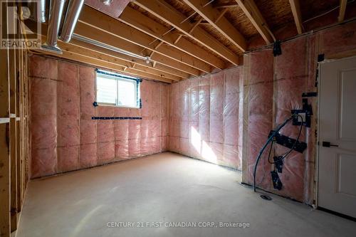 122 Timberwalk Trail, Middlesex Centre (Ilderton), ON - Indoor Photo Showing Basement