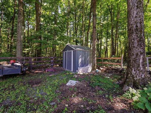 Backyard - 1749 Mtée Harwood, Saint-Lazare, QC - Outdoor