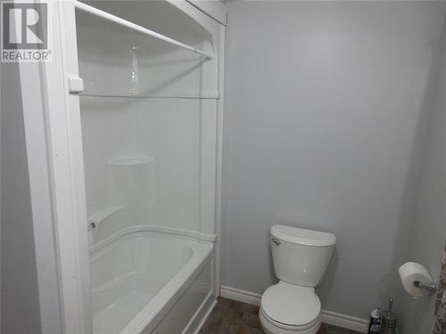 54 Earle Street, Grand Falls - Windsor, NL - Indoor Photo Showing Bathroom