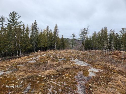 Overall view - Ch. De Kuujjuaq, Lac-Sainte-Marie, QC 