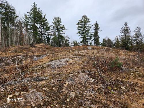 Overall view - Ch. De Kuujjuaq, Lac-Sainte-Marie, QC 