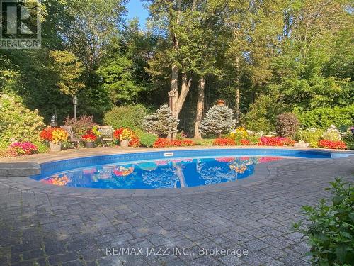 35 Castle Harbour Drive, Scugog (Port Perry), ON - Outdoor With In Ground Pool