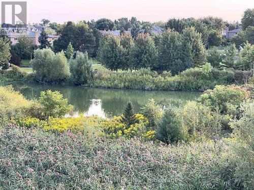 40 Nine Mile Lane, Richmond Hill, ON - Outdoor With View