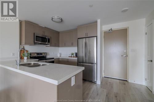 1611 Banwell Road Unit# 416, Windsor, ON - Indoor Photo Showing Kitchen With Double Sink