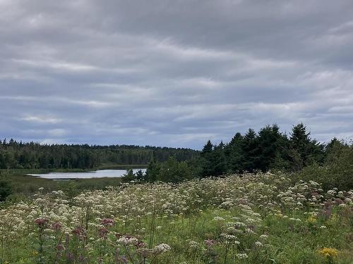 Lot Off Highway 247, Lower L'Ardoise, NS 