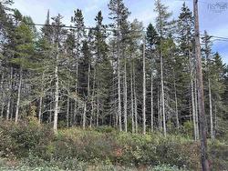 Point View Road Louisdale, NS B0E 1V0