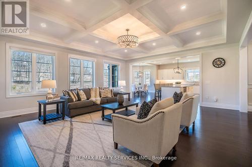 113 Robinson Preserve Court, Caledon, ON - Indoor Photo Showing Living Room