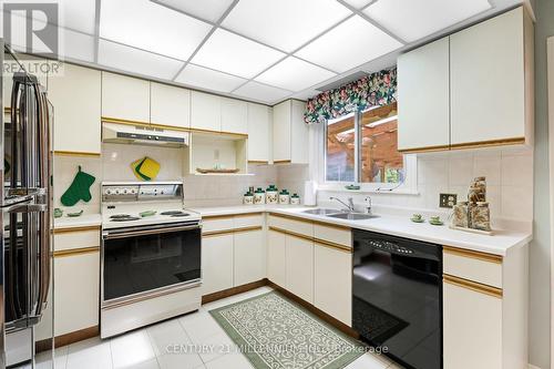 12 Shirebrook Court, Brampton (Northwood Park), ON - Indoor Photo Showing Kitchen With Double Sink