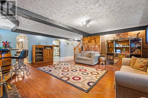 12 Shirebrook Court, Brampton (Northwood Park), ON - Indoor Photo Showing Living Room