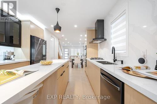 66 Afton Avenue, Toronto (Little Portugal), ON - Indoor Photo Showing Kitchen With Double Sink With Upgraded Kitchen