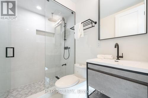 66 Afton Avenue, Toronto (Little Portugal), ON - Indoor Photo Showing Bathroom