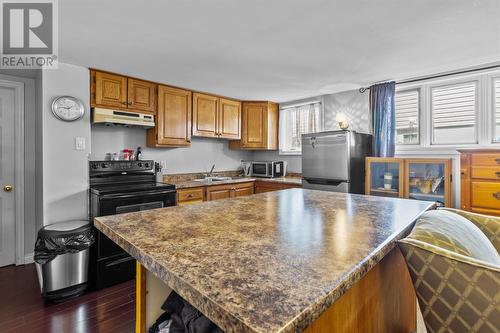 28 St. Michael'S Avenue, St. John'S, NL - Indoor Photo Showing Kitchen With Double Sink