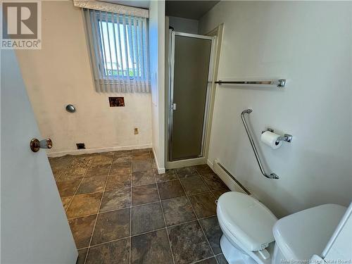 83 Court Street, Grand-Sault/Grand Falls, NB - Indoor Photo Showing Bathroom