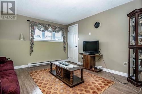 34 Wyatt Boulevard, Mount Pearl, NL - Indoor Photo Showing Living Room