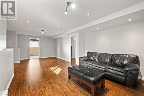 4 Plover Street, St. John'S, NL - Indoor Photo Showing Living Room