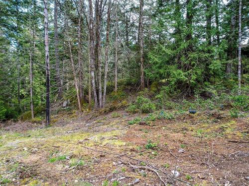 6405 East Sooke Rd, Sooke, BC 