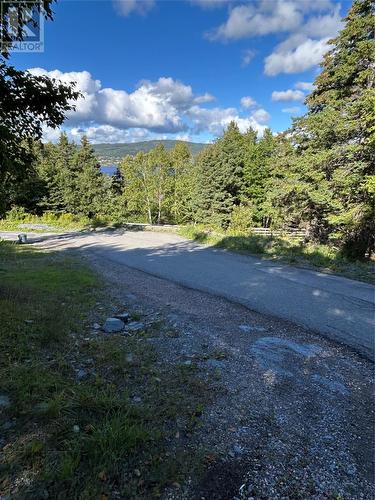 2 St. Mary'S Road, Corner Brook, NL - Outdoor With View