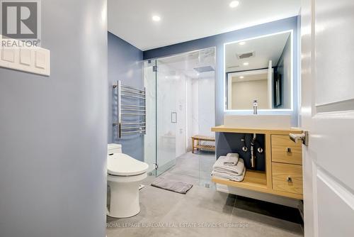 313 Silvana Crescent, Burlington (Shoreacres), ON - Indoor Photo Showing Bathroom