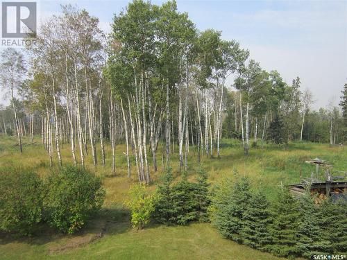 Kott Acreage, Choiceland, SK - Outdoor With View