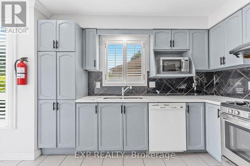 19 Driftwood Place, Hamilton, ON - Indoor Photo Showing Kitchen With Double Sink