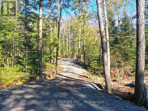 1770 Shangri-La Road, Algonquin Highlands, ON 