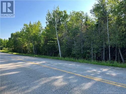 Lot Route 540, Elmwood, NB 