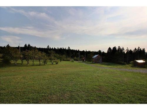 Land/Lot - 15A Rg Du Pince-Farine, La Martre, QC - Outdoor With View