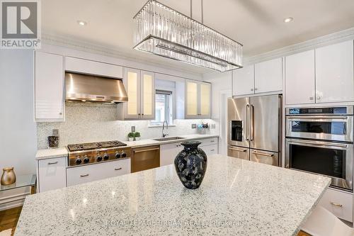 24 Stanhope Avenue, Toronto (Broadview North), ON - Indoor Photo Showing Kitchen With Stainless Steel Kitchen With Upgraded Kitchen