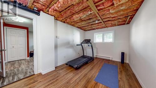 28 Tree Top Drive, St. John'S, NL - Indoor Photo Showing Gym Room