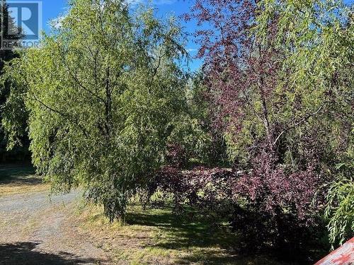 11409 Huffman Drive, Fort St. James, BC - Outdoor With View