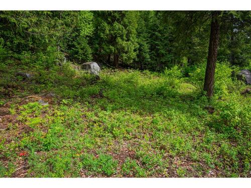 1959 Sandy Road, Castlegar, BC - Outdoor