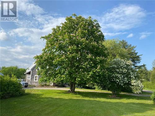 583 Hall Road, Passekeag, NB - Outdoor