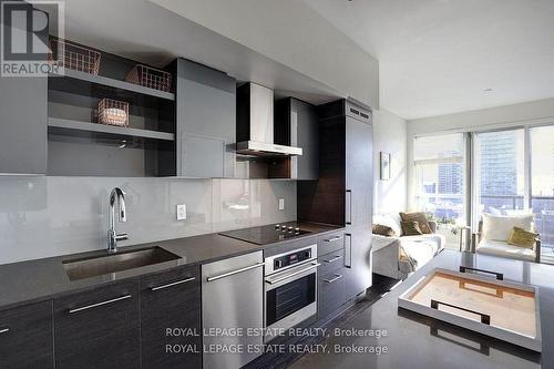 1019 - 1030 King Street W, Toronto, ON - Indoor Photo Showing Kitchen With Upgraded Kitchen