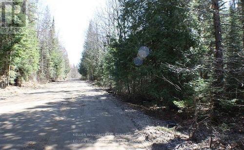 0 Contau Lake Road, Highlands East, ON 