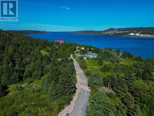 20 Kennedys Lane, Holyrood, NL 