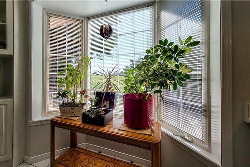 Kitchen Window - 251 Alderlea Avenue, Hamilton, ON 