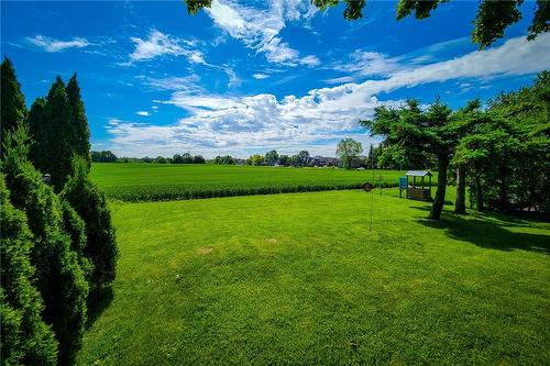 View of Field from back yard - 251 Alderlea Avenue, Hamilton, ON 