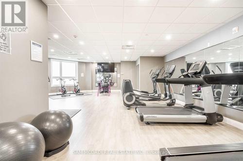 207 - 101 Shoreview Place, Hamilton (Stoney Creek), ON - Indoor Photo Showing Gym Room