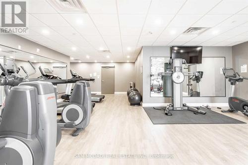 207 - 101 Shoreview Place, Hamilton (Stoney Creek), ON - Indoor Photo Showing Gym Room