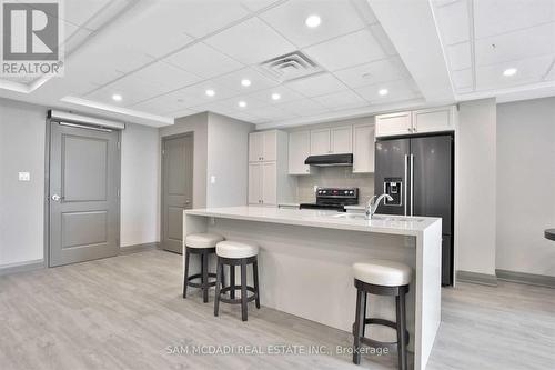 207 - 101 Shoreview Place, Hamilton (Stoney Creek), ON - Indoor Photo Showing Kitchen