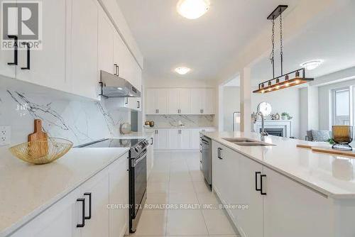 297 Broadacre Drive, Kitchener, ON - Indoor Photo Showing Kitchen With Double Sink