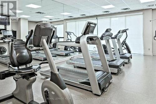 702 - 9 Northern Heights Drive, Richmond Hill, ON - Indoor Photo Showing Gym Room