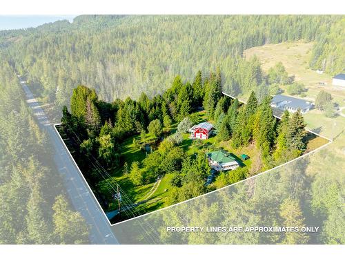 12698 Highway 3A, Boswell, BC -  With View