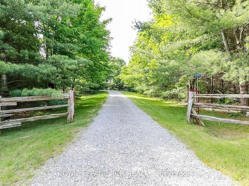 708148 County Road 21, Mulmur, ON - Outdoor