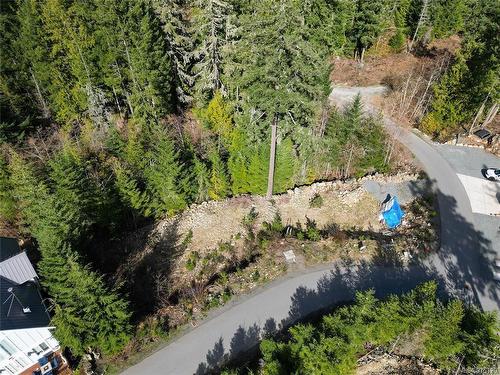 13 Trailhead Cir, Shawnigan Lake, BC 